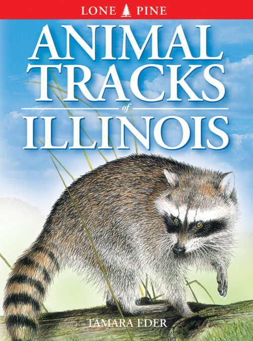Animal Tracks of Ontario – Lone Pine Publishing
