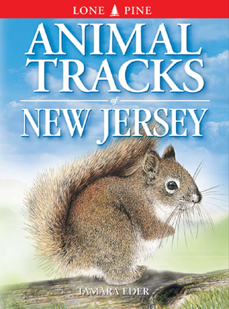 Animal Tracks of New Jersey – Lone Pine Publishing