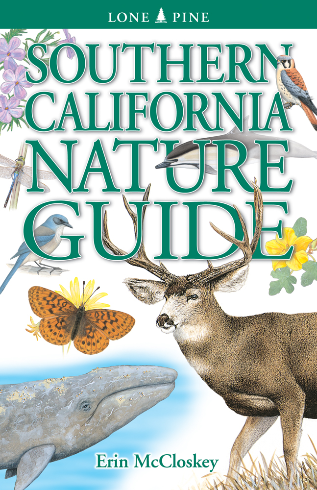 Southern California Nature Guide – Lone Pine Publishing
