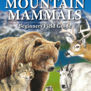 Rocky Mountain Mammals Beginners Field Guide